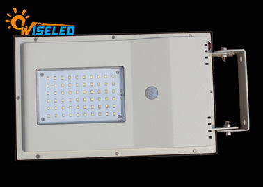China Portable 8W Garden Solar LED Street Light With PIR Motion Senser Control supplier